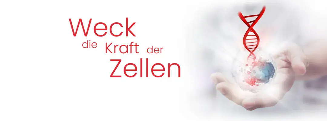 Praxis Belladonna - VitOrgan